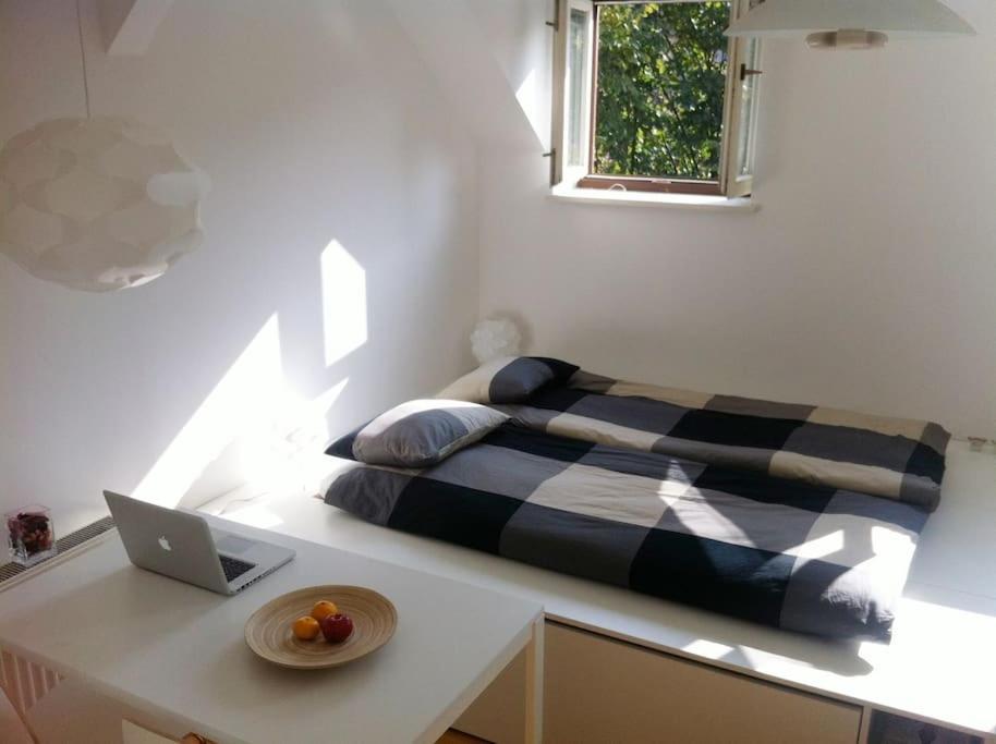 The Cute, Sunny Apartment In The Center +P Любляна Екстериор снимка