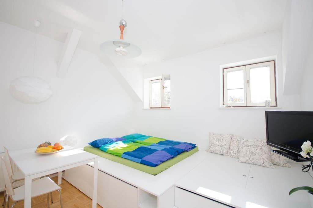 The Cute, Sunny Apartment In The Center +P Любляна Екстериор снимка