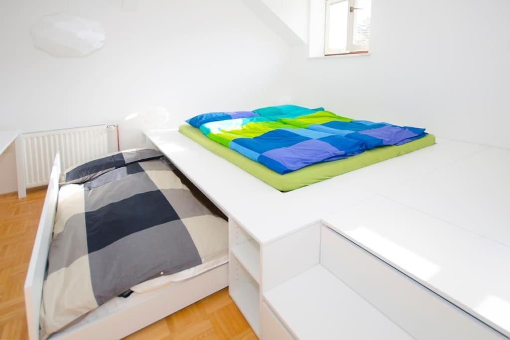 The Cute, Sunny Apartment In The Center +P Любляна Екстериор снимка