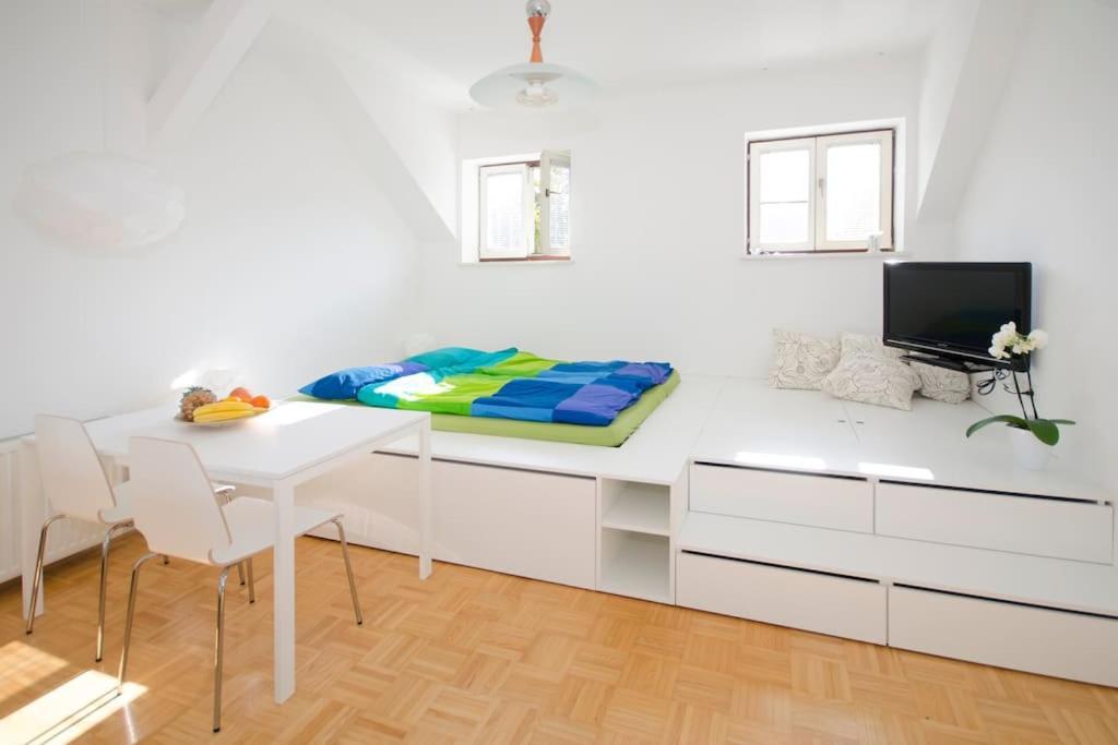 The Cute, Sunny Apartment In The Center +P Любляна Екстериор снимка