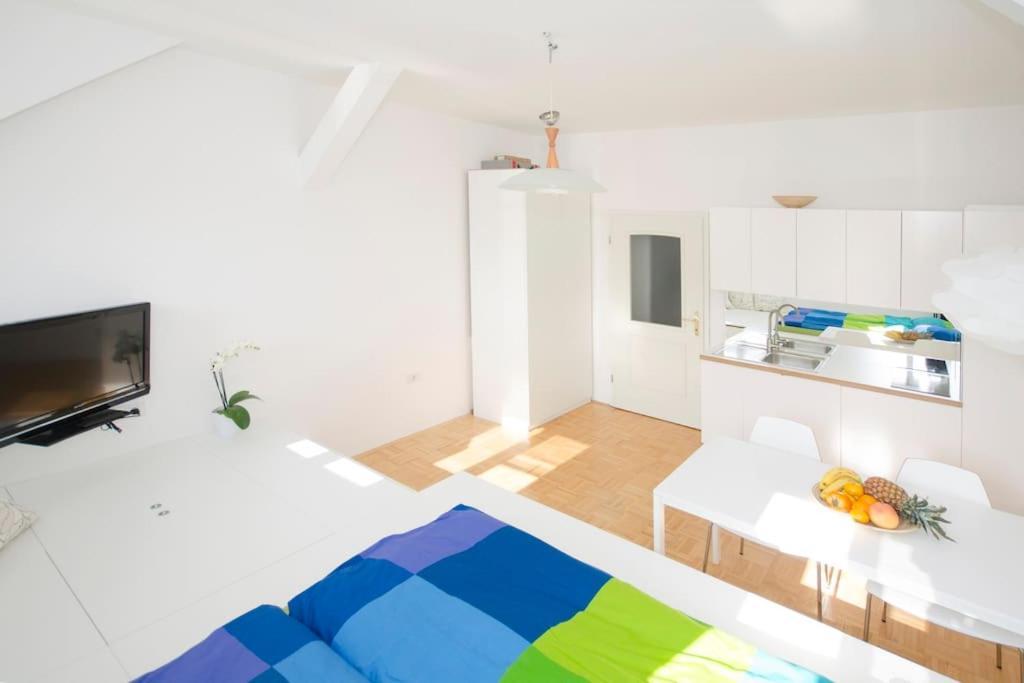 The Cute, Sunny Apartment In The Center +P Любляна Екстериор снимка
