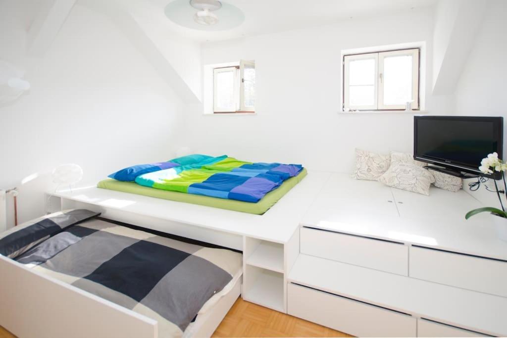 The Cute, Sunny Apartment In The Center +P Любляна Екстериор снимка